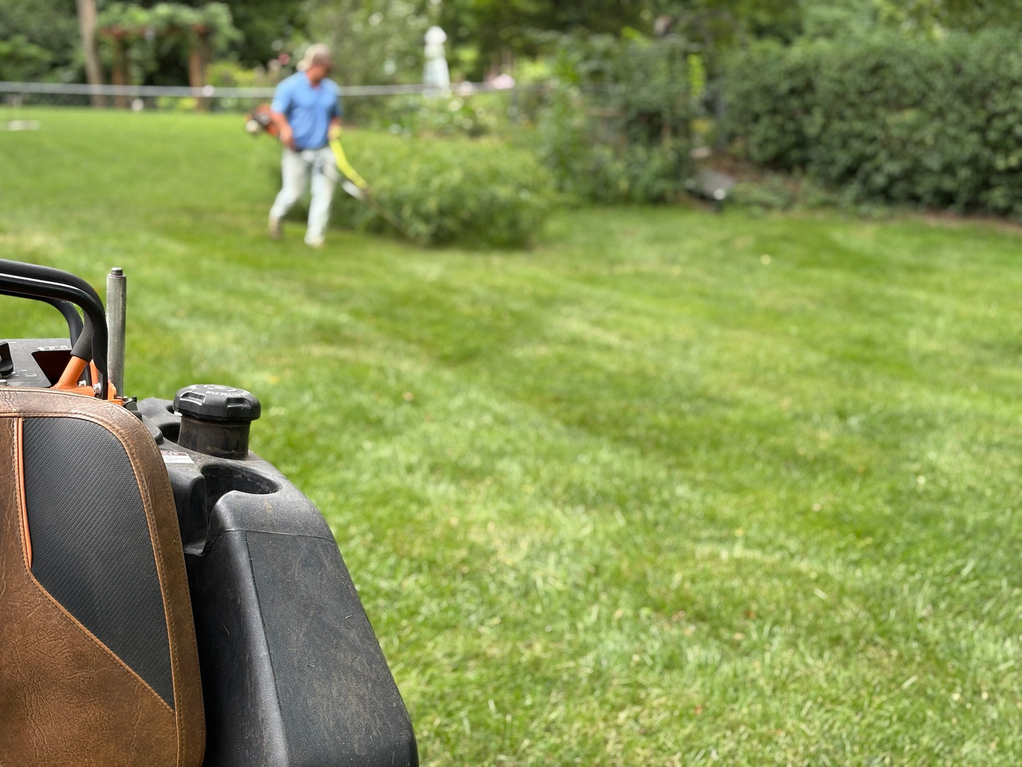 Sommer Lawn crew pruning trees