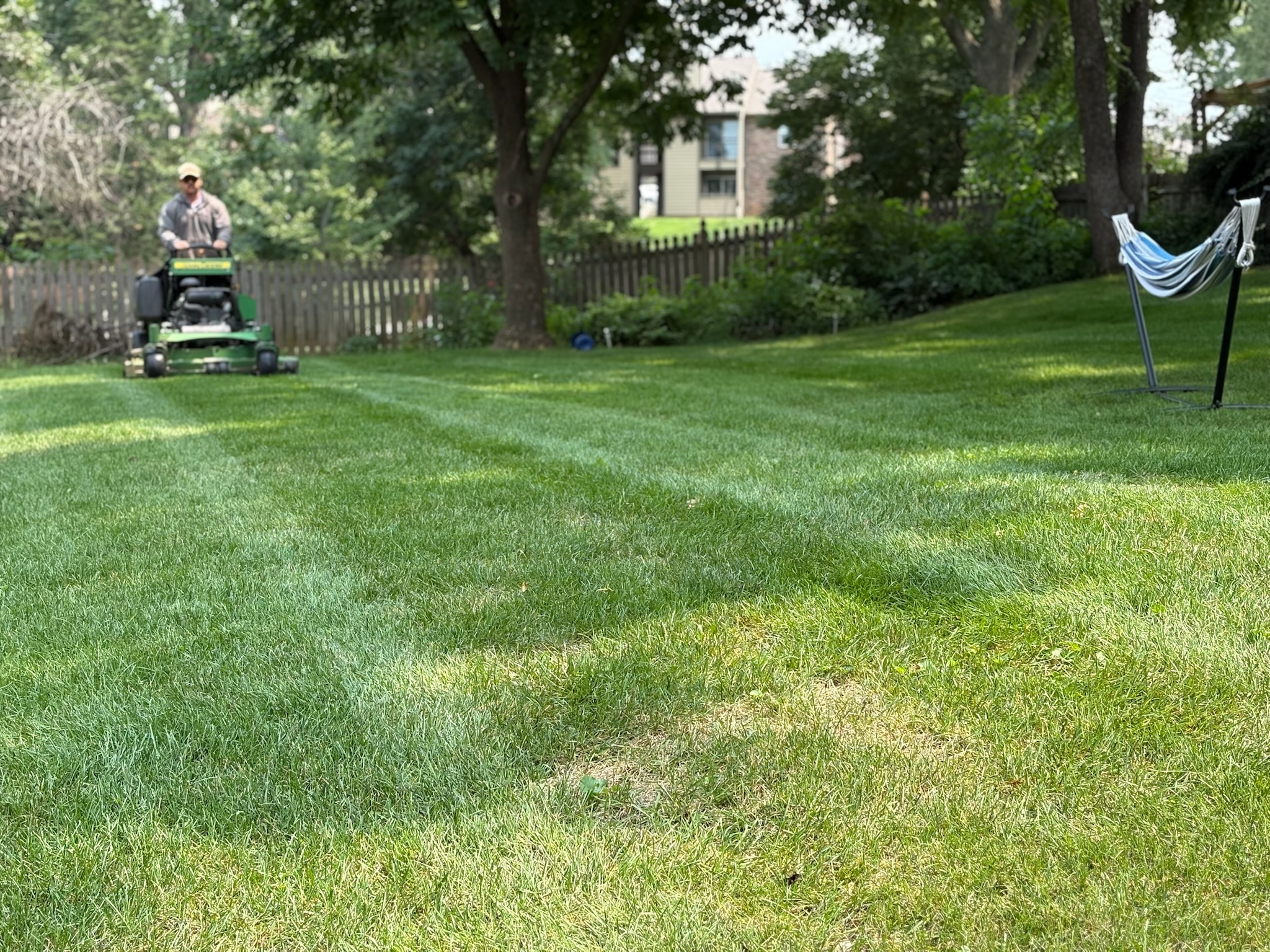 Healthy, thick lawn maintained by Sommer Lawn